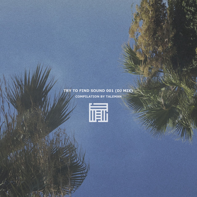 Try to Find Sound 001 (DJ Mix) cover art