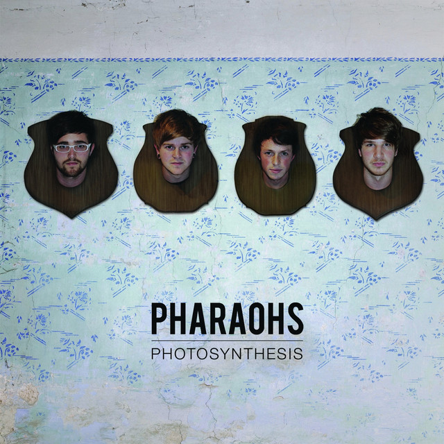 Photosynthesis cover art