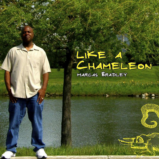 Like a Chameleon cover