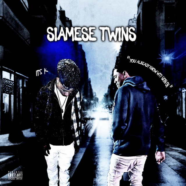 Siamese Twins cover art