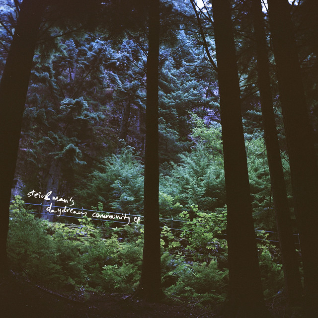 "Stein & Mari's Daydream Community" cover art