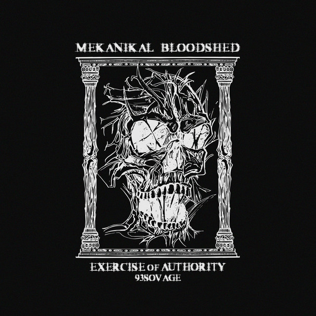 Exercise of Authority cover art