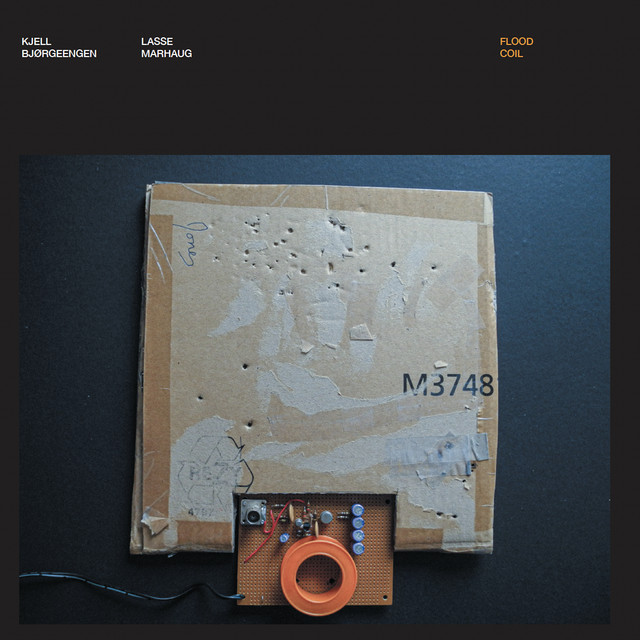 Flood Coil cover art
