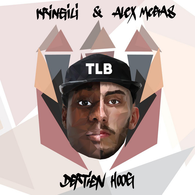 Dertien Hoog cover art