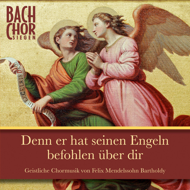 Warum toben die Heiden cover art
