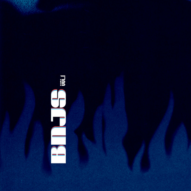 BNJ Serie, Vol. 1 cover art