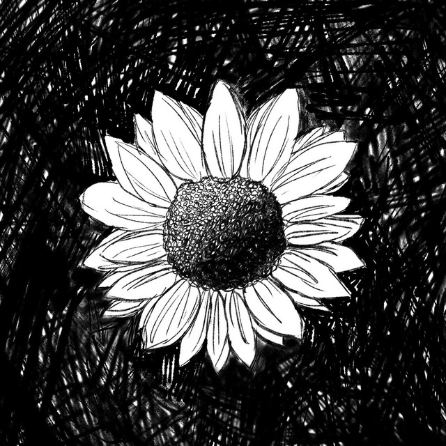 Ashamed cover art
