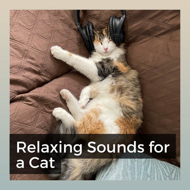 Relaxing Sounds for a Cat - Album by Music for Cats Peace | Spotify