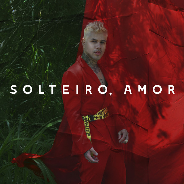 Solteiro, Amor cover art