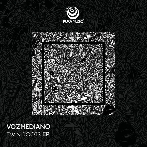 Twin Roots Ep cover