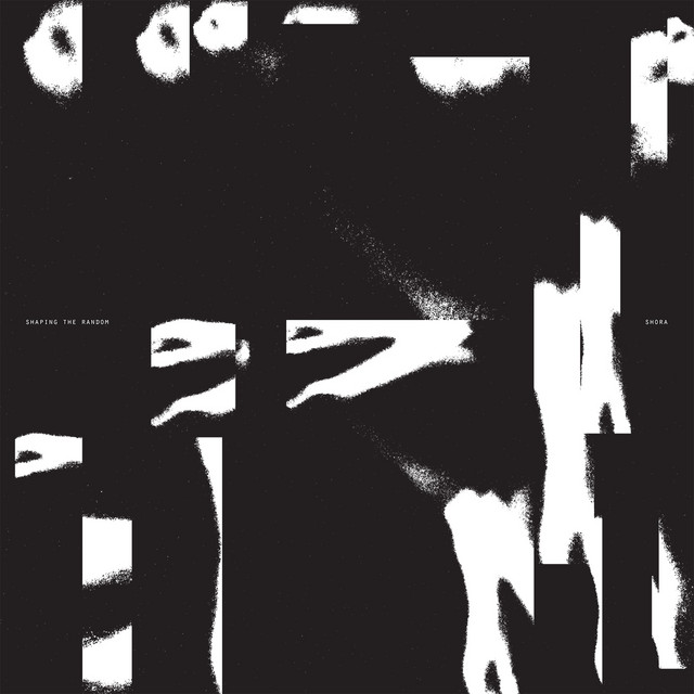 Shaping the Random cover art