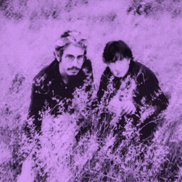 Cadaver cover art
