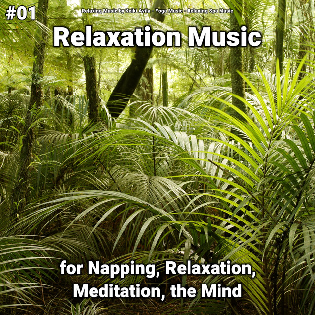 #01 Relaxation Music for Napping, Relaxation, Meditation, the Mind cover art