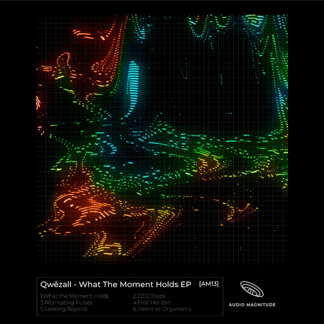 What the Moment Holds - Original Mix cover art