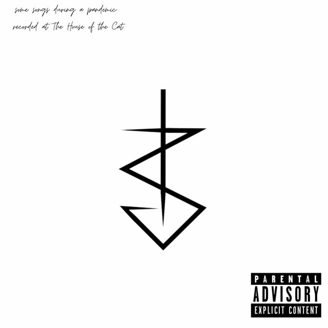 some songs during a pandemic recorded at The House of the Cat cover art