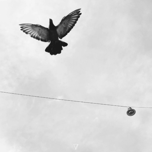 Let Go cover art