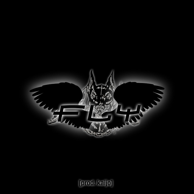 fly cover art