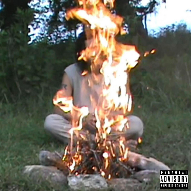 From the Ashes cover art