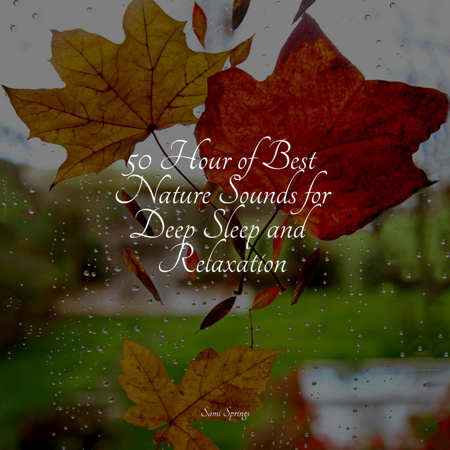 50 Hour of Best Nature Sounds for Deep Sleep and Relaxation cover art