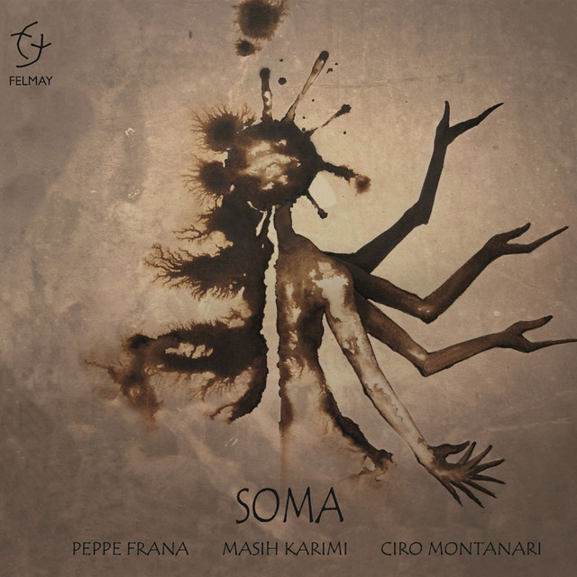 Soma cover art