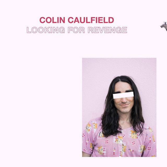 Looking for Revenge cover
