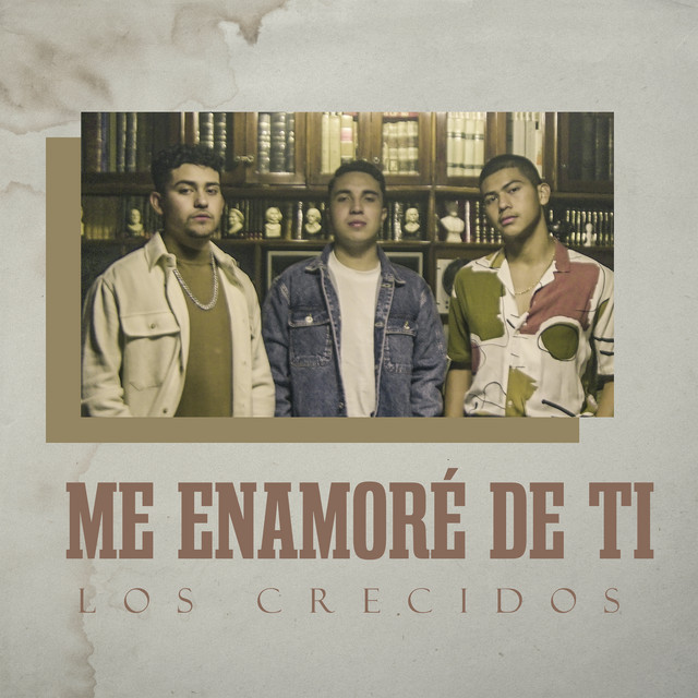 Me Enamoré De Ti
