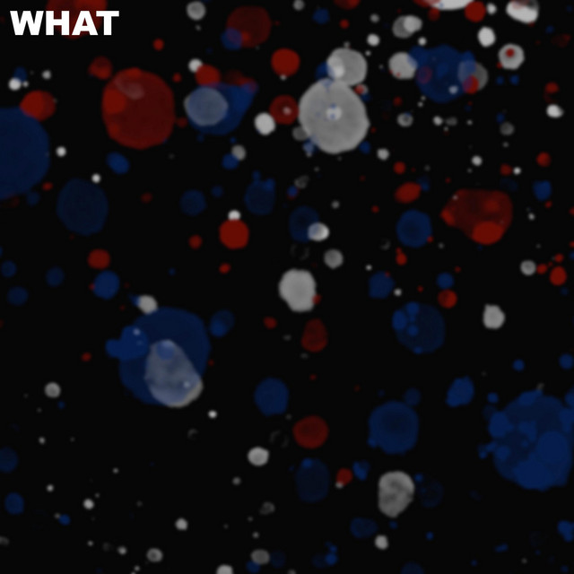 artwork for WHAT