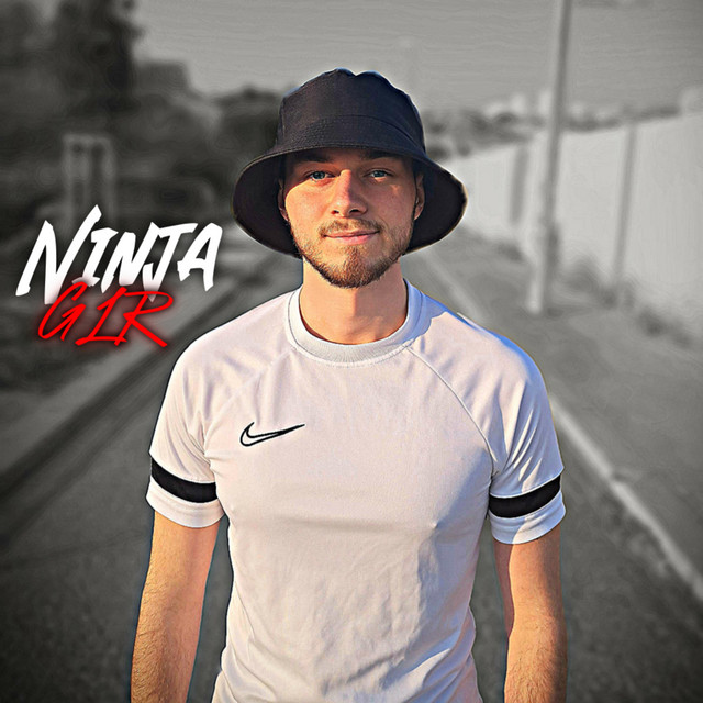 NINJA cover art