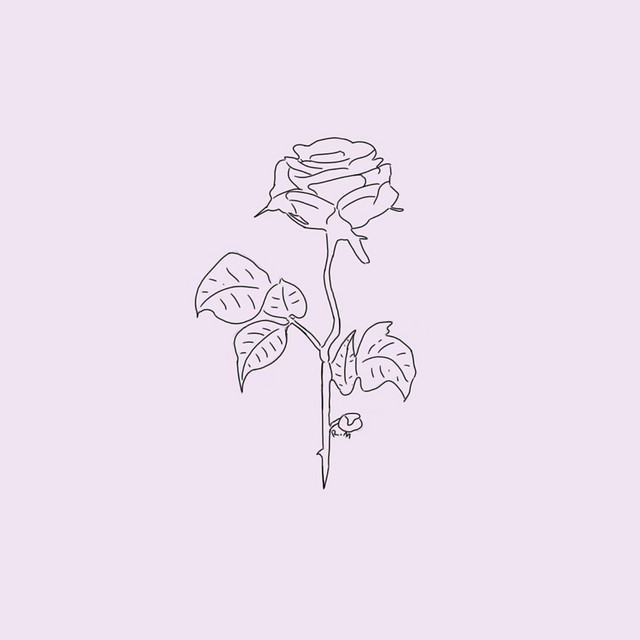 Downer cover