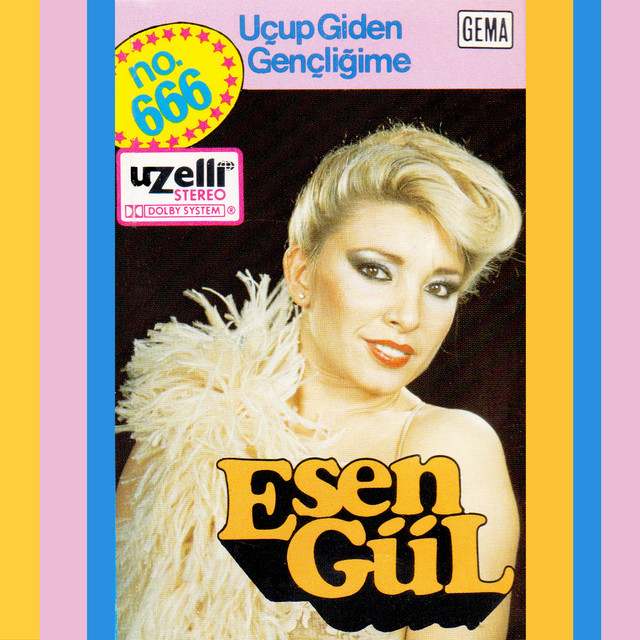 Uçup Giden Gençliğime cover art