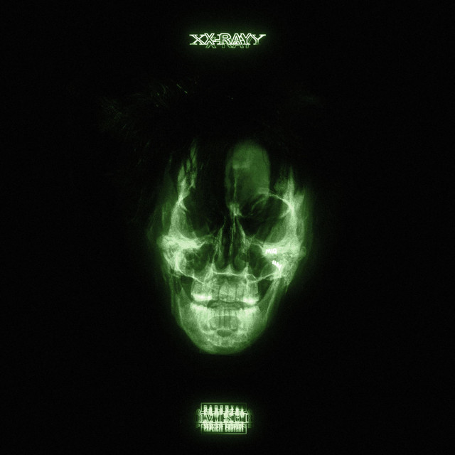 X-RAY (Deluxe) cover art
