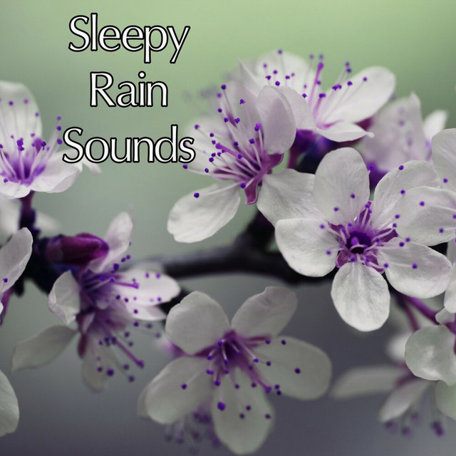 19 Rain and Nature Sounds Sleep and Meditation Sounds - Album by Rain ...