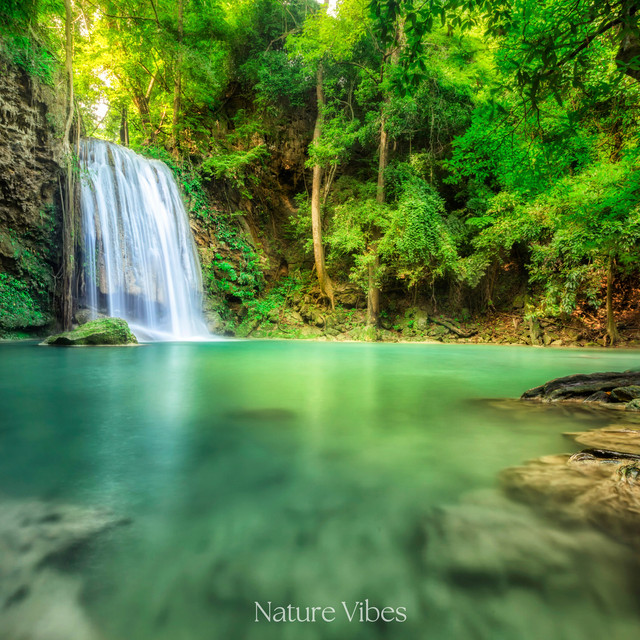 Nature Vibes cover art
