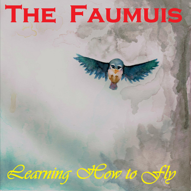 Learning how to fly cover art