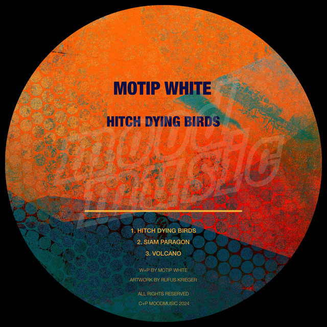 Hitch Dying Birds album art