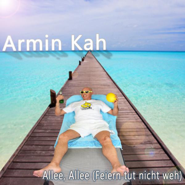 Allee, Allee (Feiern tut nicht weh) cover