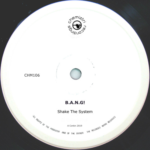 Shake The System cover art