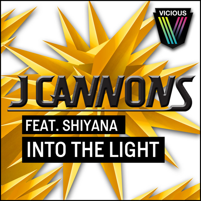 Into The Light - Skyden & Beaman Remix cover art
