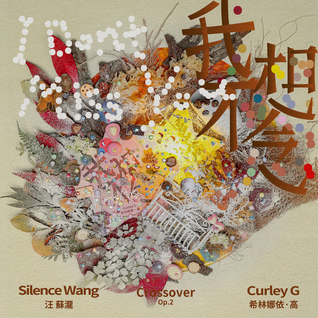 我不想念 album image