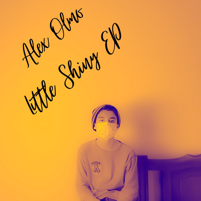 Little Shiny cover art