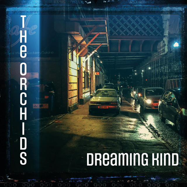 Dreaming Kind cover art