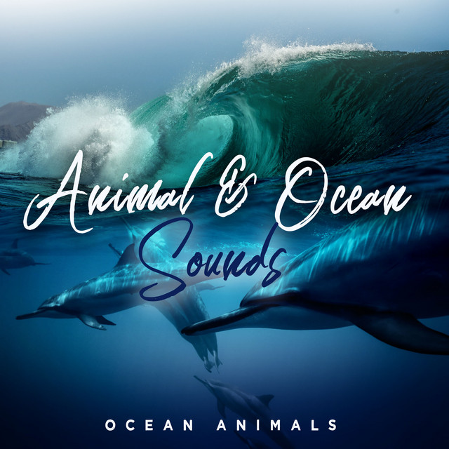 Animal & Ocean Sounds cover art