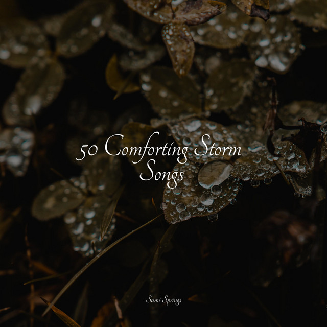 50 Comforting Storm Songs - Album by Sleep Sounds Rain | Spotify