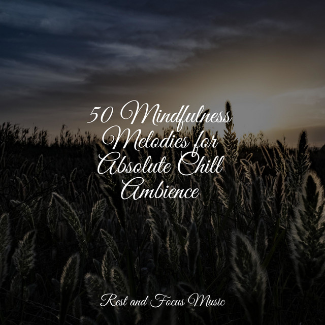 50 Mindfulness Melodies for Absolute Chill Ambience - Album by Anxiety ...