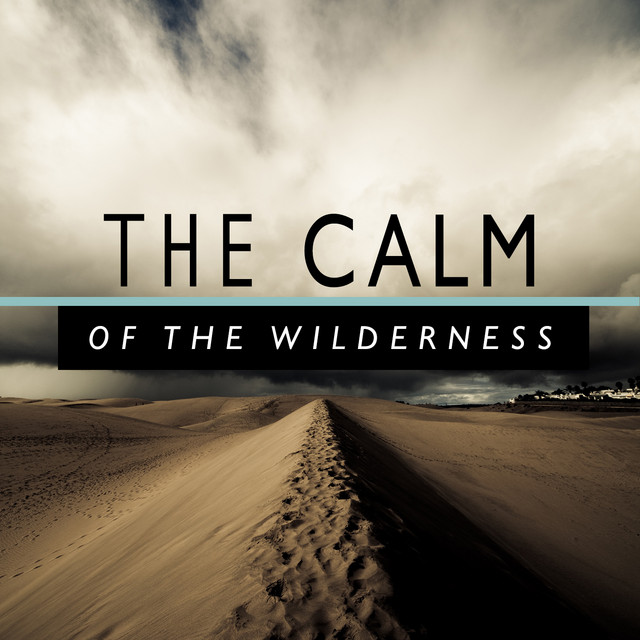 The Calm of the Wilderness cover art