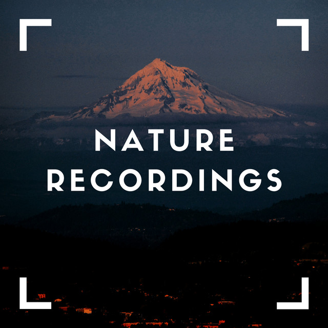 Natural Recordings of Green cover art