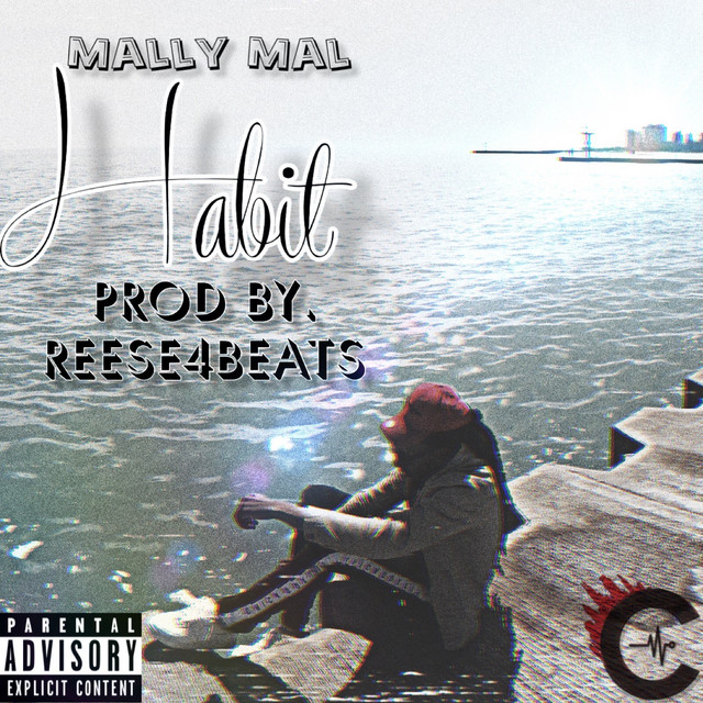 Habit - Single by Mally Mal | Spotify