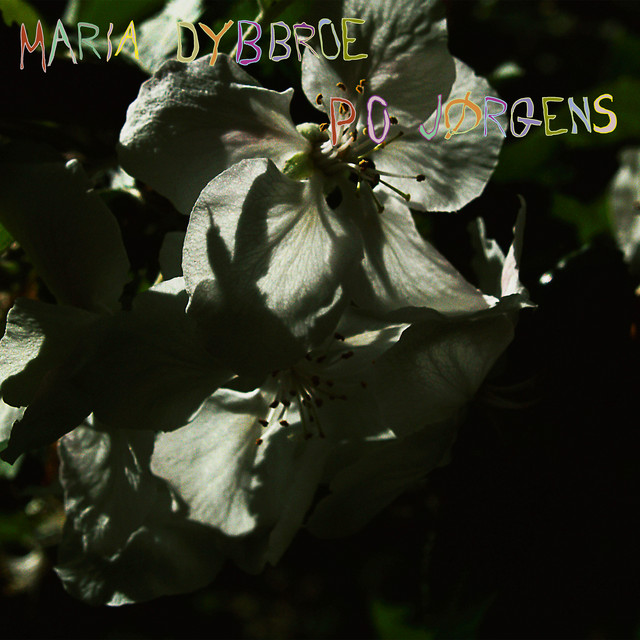Counting The Flowers