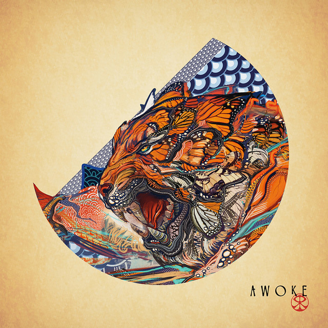 Awoke cover art