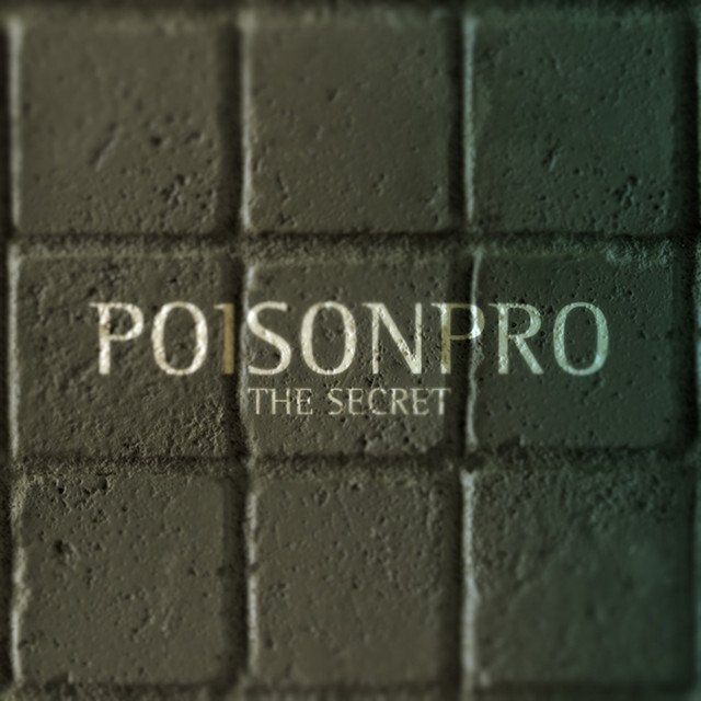 The Secret - Sergey Tkachev Remix cover art